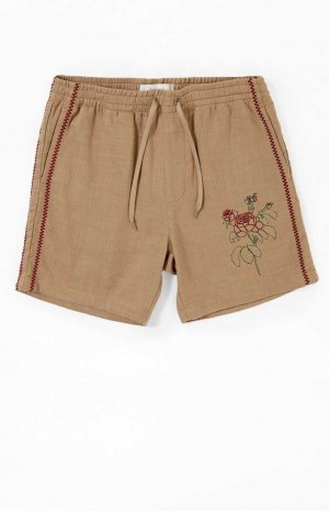 Pánské Kraťasy PacSun Embroidered Linen Volley Hnědé | 51WHIDQGL