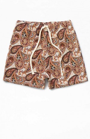 Pánské Kraťasy PacSun Paisley Tapestry Hnědé | 06EXMRVUA