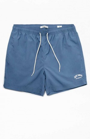 Pánské Svetry PacSun Blue Nylon Collegiate 6.5" Swim Trunks Blankyt | 04KQWUTHP