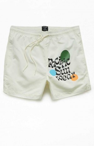 Pánské Svetry PacSun Eco Retro Grafická 4.5" Swim Trunks Krém | 17QBINLHG