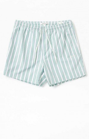 Pánské Svetry PacSun Stripe 4.5" Swim Trunks Zelene | 19SFGXNJV