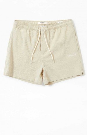 Pánské Svetry PacSun Tan Sail Seersucker 4.5" Swim Trunks Hnědé | 17NWILFDA