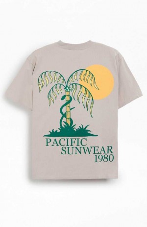 Pánské T-shirt PacSun Pacific Sunwear Palms Krém | 82ITOUNSG