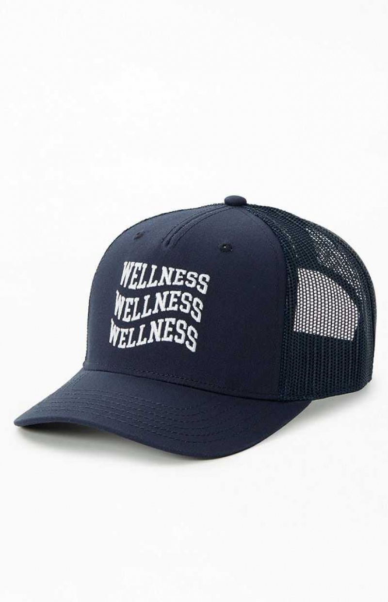 Dámské Klobouk PacSun Wavy Wellness Trucker Tmavě Blankyt | 75WSAGHUZ