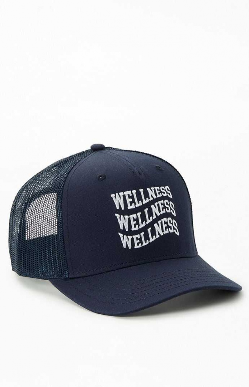 Dámské Klobouk PacSun Wavy Wellness Trucker Tmavě Blankyt | 75WSAGHUZ