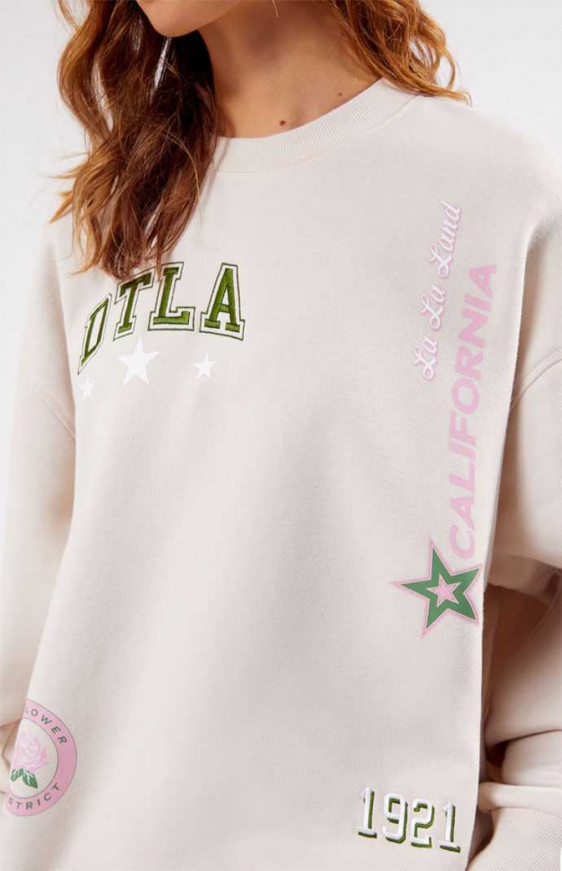 Dámské Mikiny PacSun DTLA Crew Neck Hnědé | 85SVNGWDL