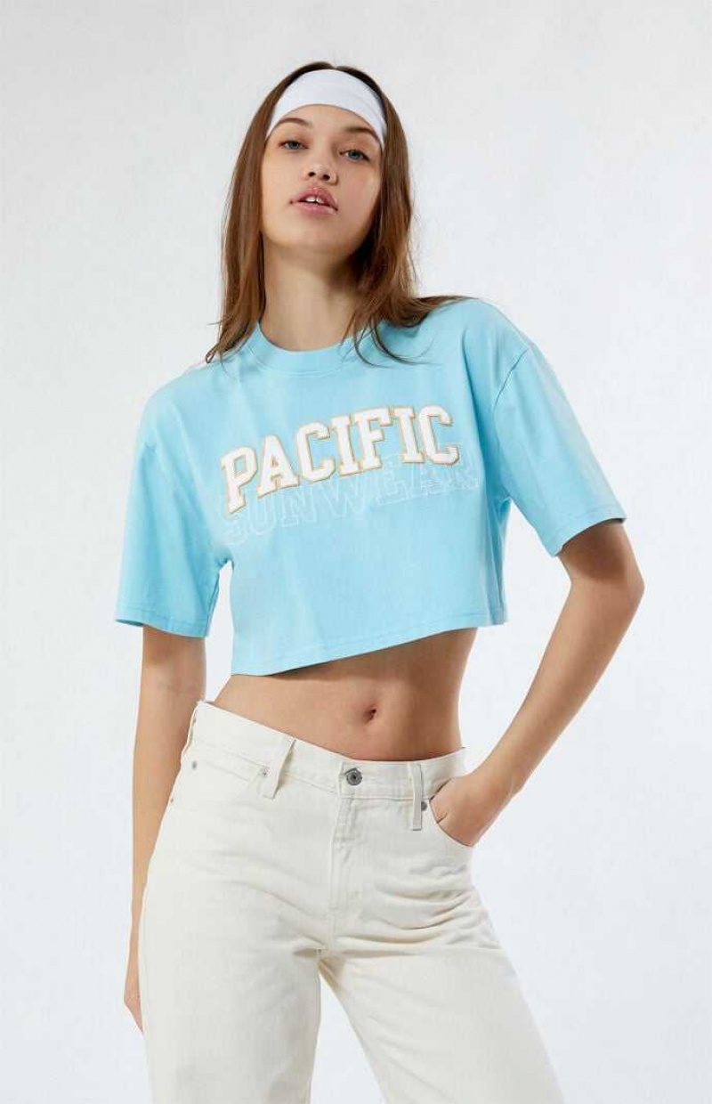 Dámské Topy PacSun Pacific Sunwear Arch Cropped Blankyt | 28LDTIZHP