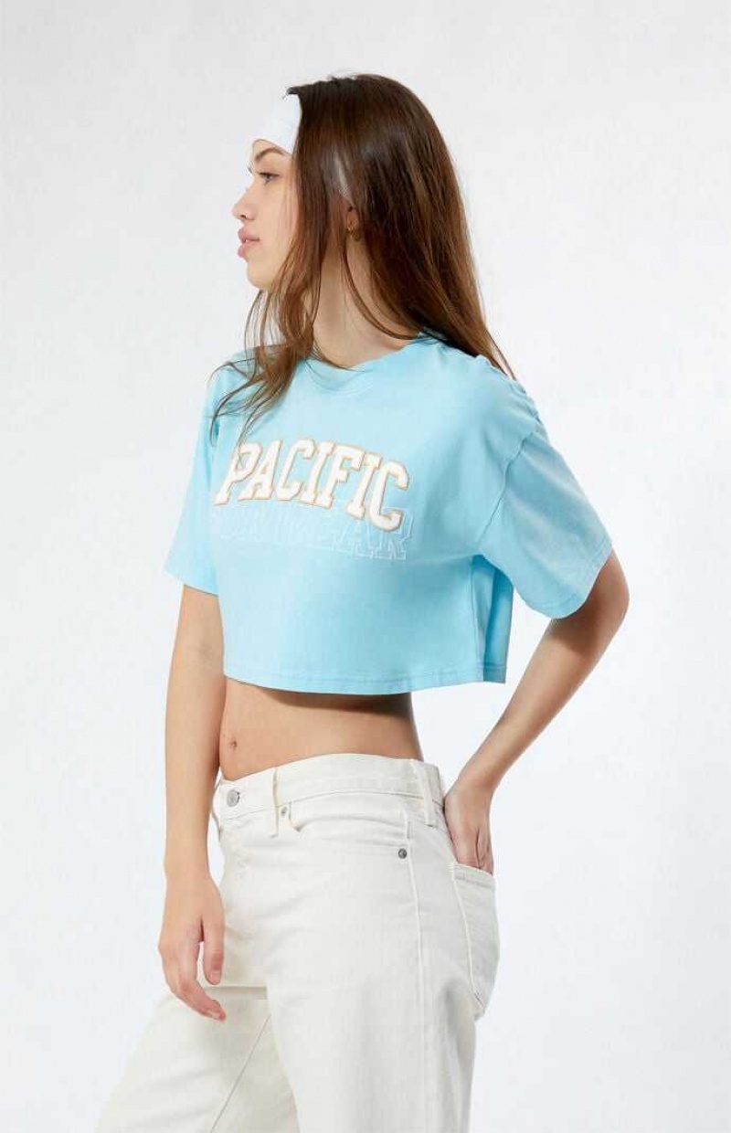 Dámské Topy PacSun Pacific Sunwear Arch Cropped Blankyt | 28LDTIZHP