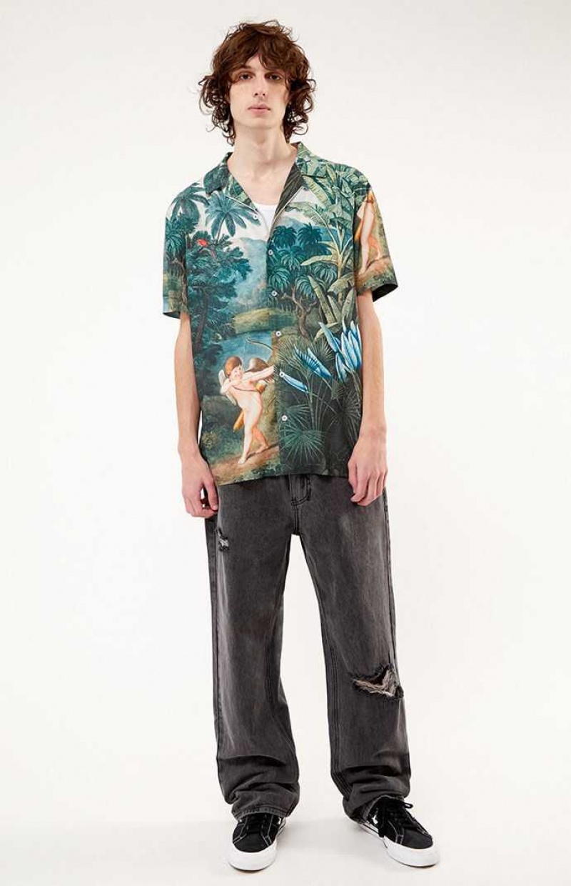 Pánské Košile PacSun Still Life Button Down Zelene | 64DGPZBFV