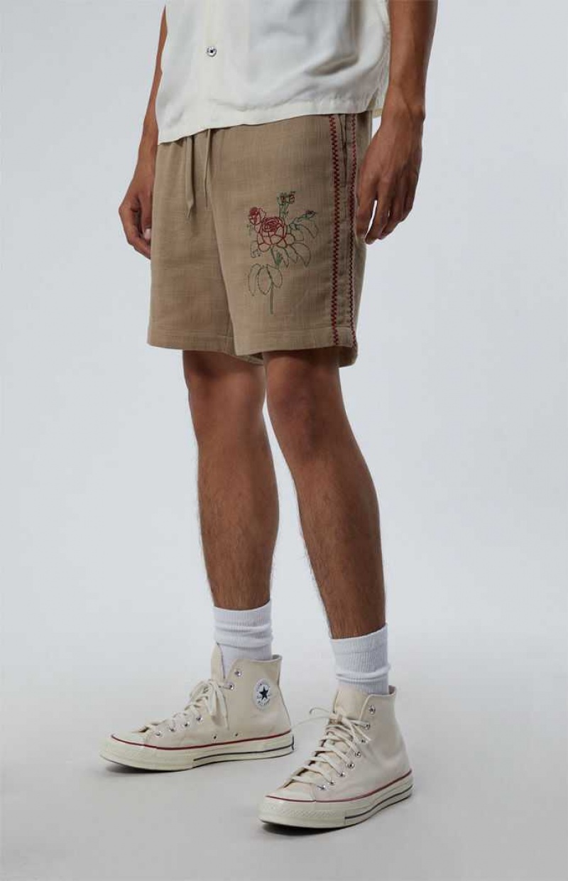 Pánské Kraťasy PacSun Embroidered Linen Volley Hnědé | 51WHIDQGL