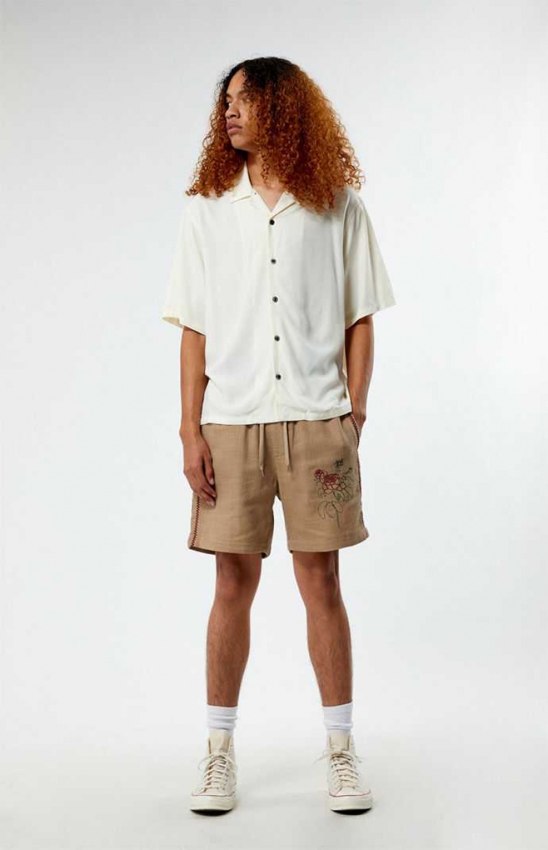 Pánské Kraťasy PacSun Embroidered Linen Volley Hnědé | 51WHIDQGL