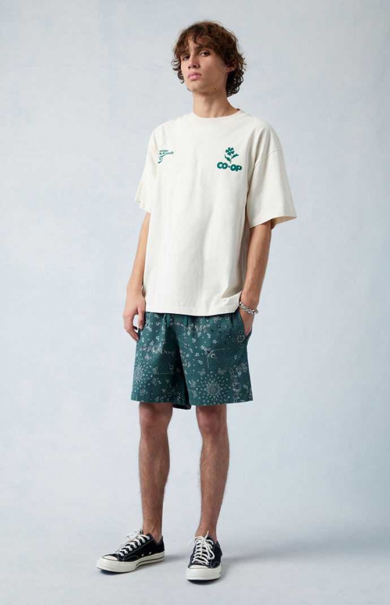 Pánské Kraťasy PacSun Green Reed Printed Twill Volley Zelene | 57OGWBZHR