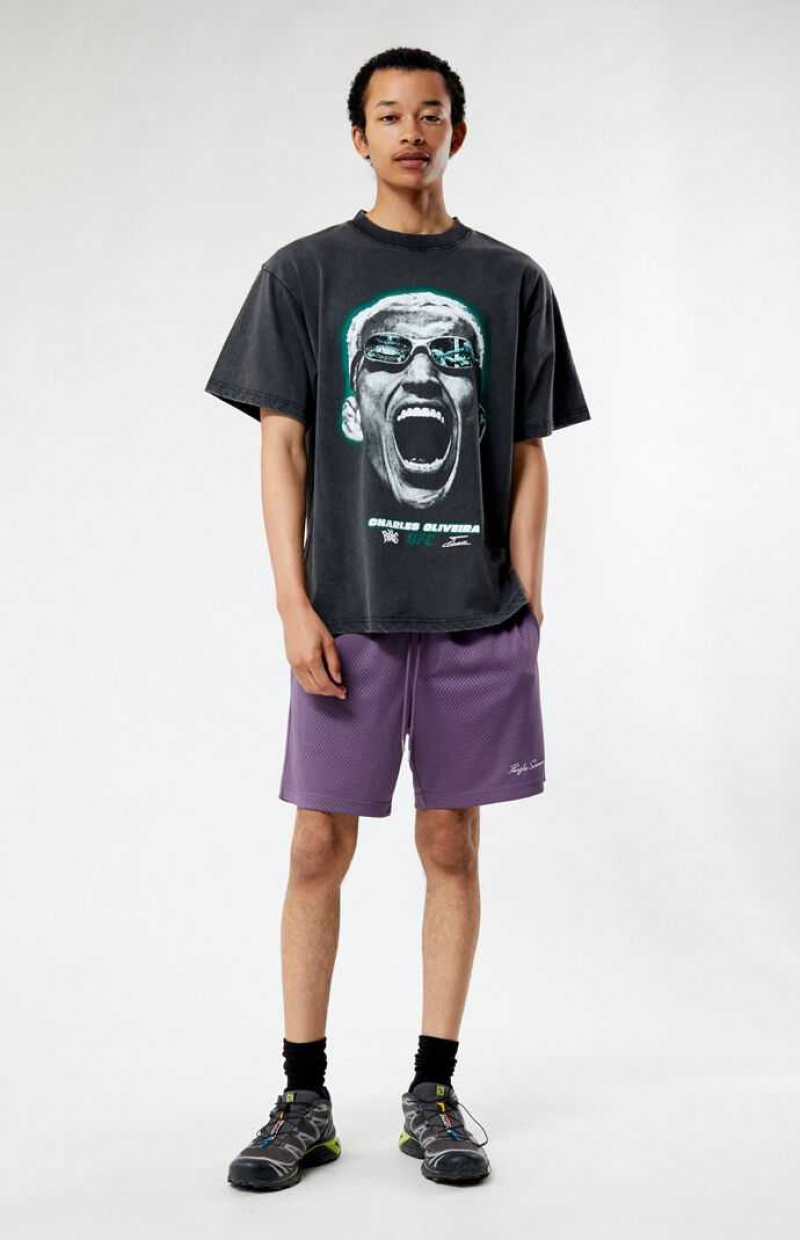 Pánské Kraťasy PacSun Purple Mesh Basketball Fialové | 63AQKXNIV