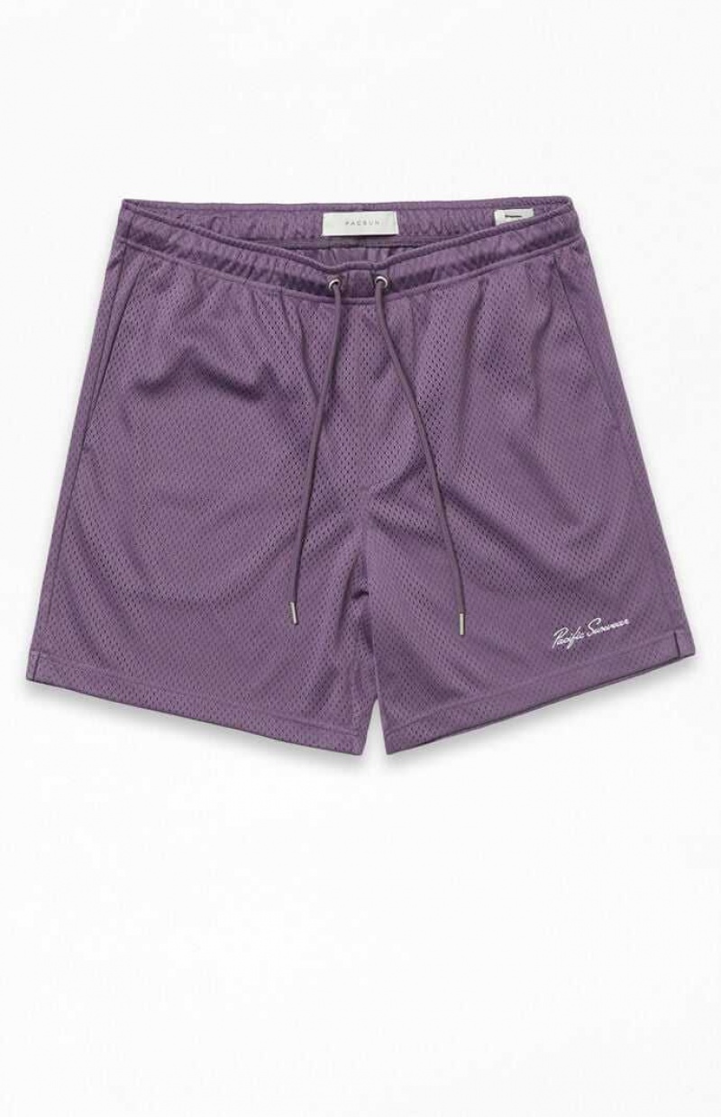 Pánské Kraťasy PacSun Purple Mesh Basketball Fialové | 63AQKXNIV